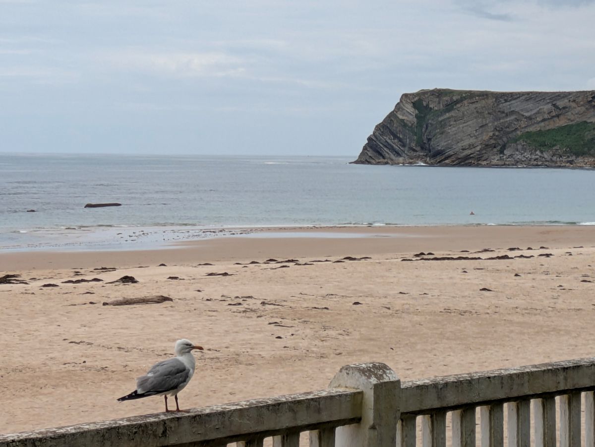 18-die Küste bei Comillas